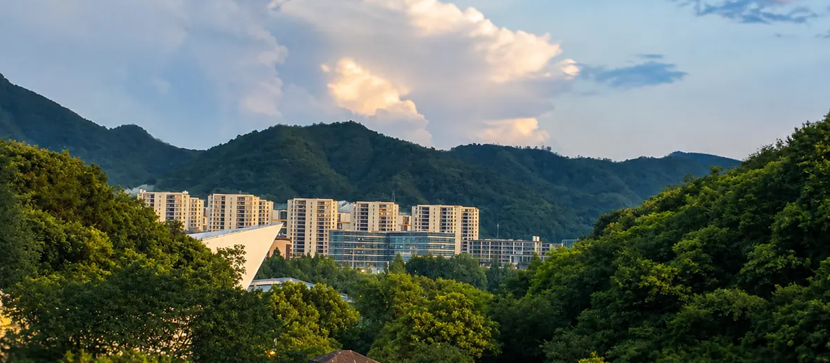 Apartment towers below forested mountains in China at golden hour